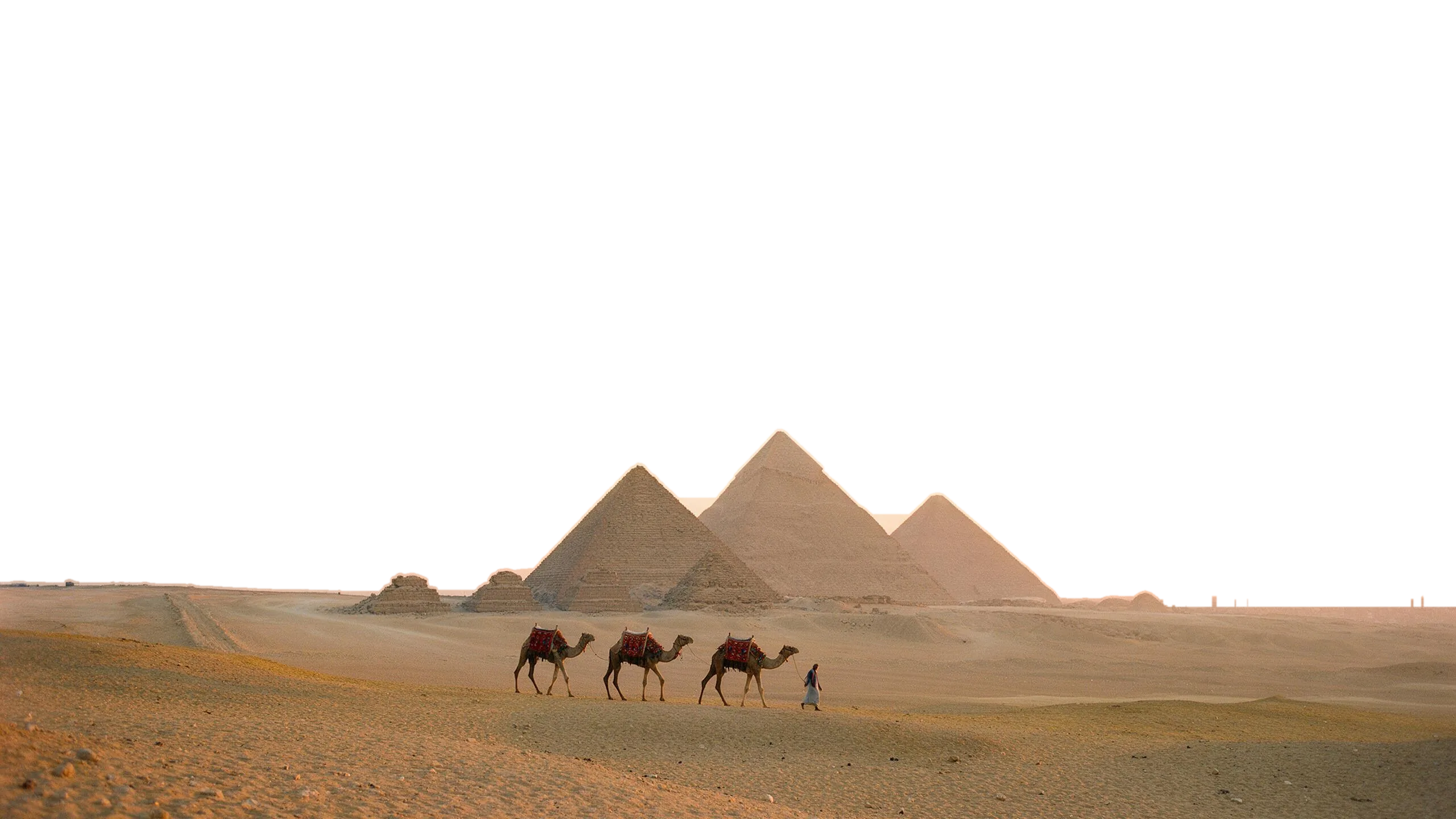 A camel caravan crossing the desert towards the pyramids of Giza